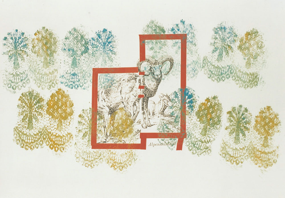 „Alpensteinbock“, 70 x 100 cm, Mischtechnik auf Zeichenkarton, 1994